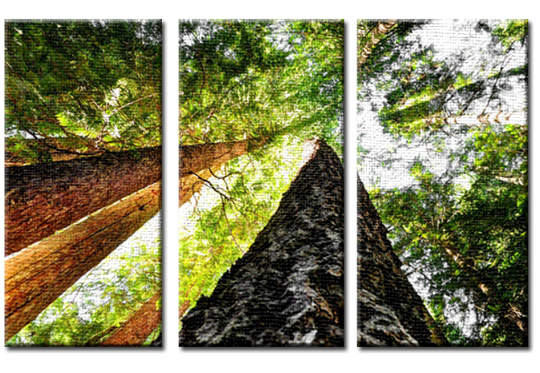 Up (Triptych).png